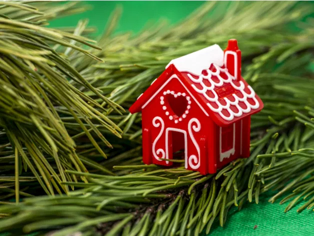 Bộ Lắp Ráp Nhà Bánh Gừng Kit Card MMU - Image 16