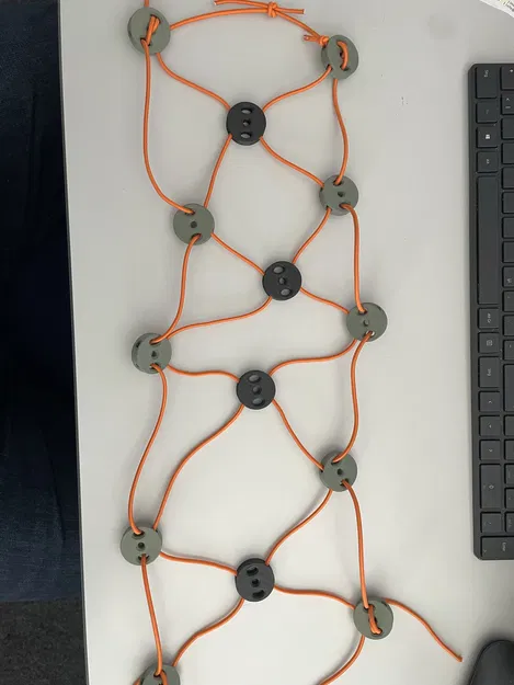 Đĩa Lưới Không Nút Không Bình Thường - Image 2