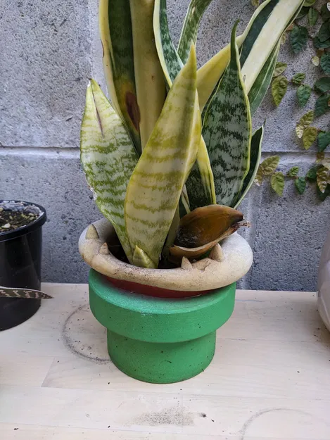 Chậu Cây Piranha - Image 1