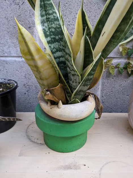 Chậu Cây Piranha - Image 2