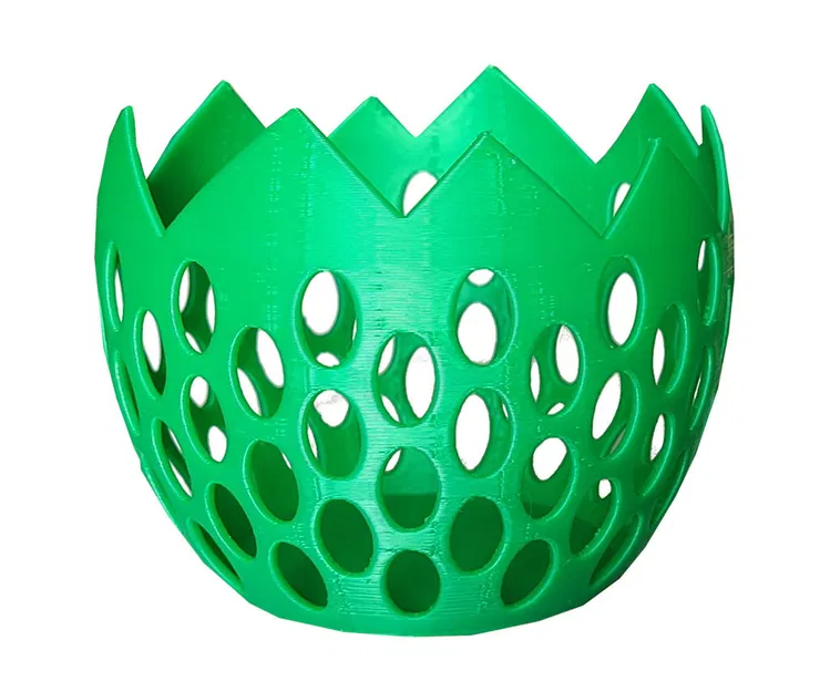 Chậu Trồng Cây Nhỏ Hình Trứng Bộ Xương - Image 4