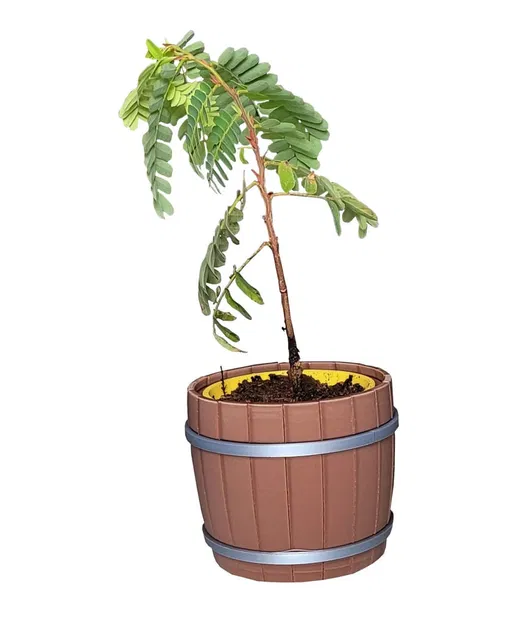 Chậu Cây Hình Thùng Rượu Vang - Image 2