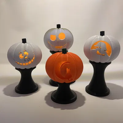 Chân Đế Trưng Bày Ảnh