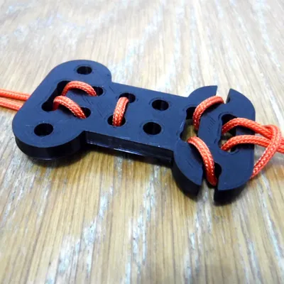 Con suốt và bộ căng dây hình xương