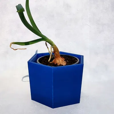 Chậu hoa hình lục giác 2.5