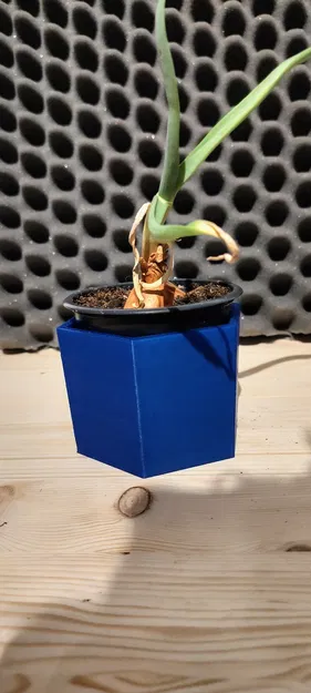 Chậu hoa hình lục giác 2.5 - Image 2