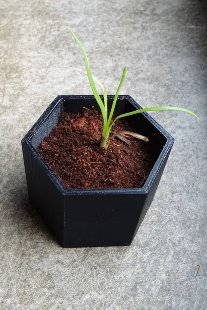 Chậu Hoa Sáu Cạnh - Image 1