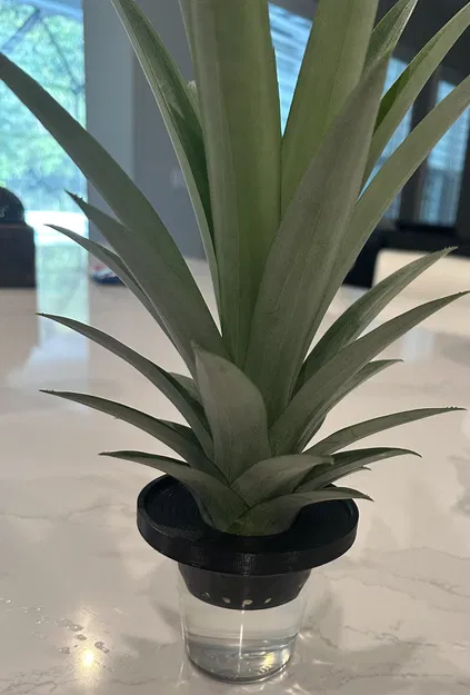 Giá Đỡ Dứa - Image 1