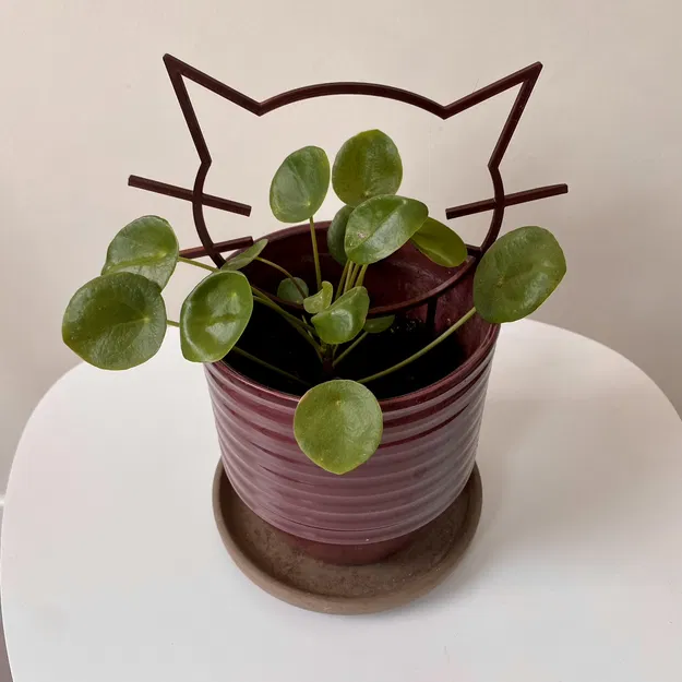 Dụng Cụ Giữ Cây Hình Mèo Mặt Lạ - Image 1