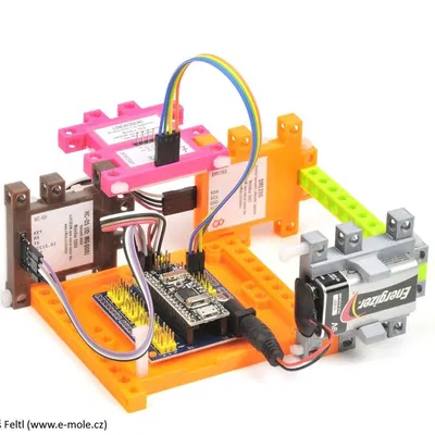 MoleBox: Nhiệt kế Kỹ thuật số DS18B20