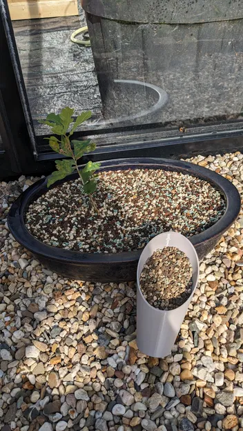 Muỗng Xúc Đất Bonsai - Image 3