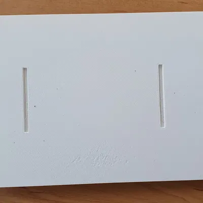 Bẫy Ốc Sên "Past"