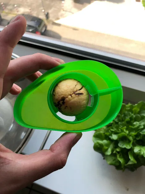 Thuyền Bơ Tự Làm Cho Hạt Bơ Nảy Mầm Vasemode - Image 1