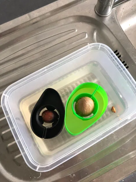 Thuyền Bơ Tự Làm Cho Hạt Bơ Nảy Mầm Vasemode - Image 3