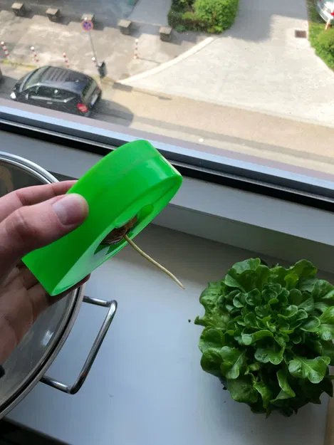 Thuyền Bơ Tự Làm Cho Hạt Bơ Nảy Mầm Vasemode - Image 4