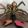 Mô hình Nhện Đột Biến - Spider Mutant - Thumbnail 3
