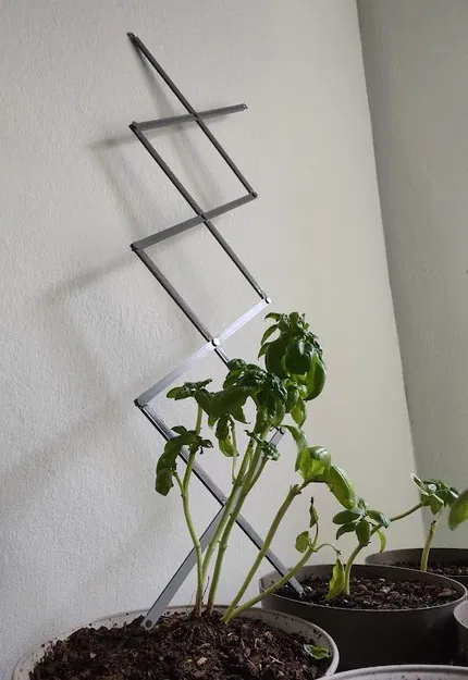 Cấu trúc giá đỡ cây trồng dạng module - Image 1