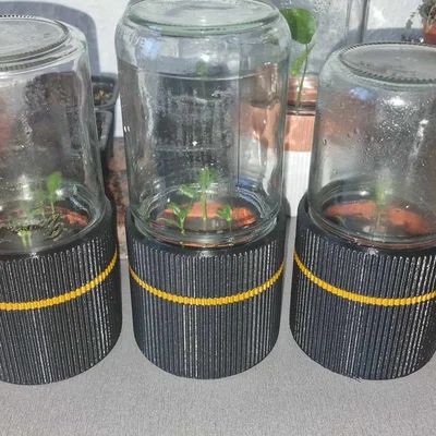 Khu vườn ươm mini từ hũ thủy tinh mk3