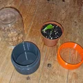 Chậu cây mini dạng nhà kính - Thumbnail 2