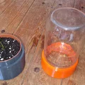 Chậu cây mini dạng nhà kính - Thumbnail 4