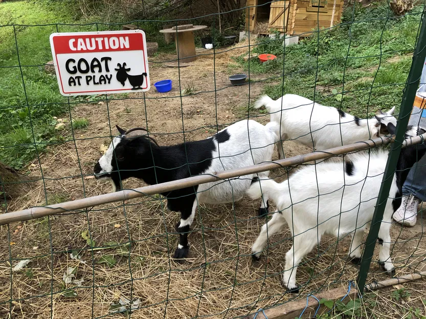 Biển báo chuồng dê - Image 2