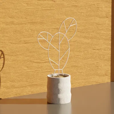 Chân Đế Chậu Xương Rồng