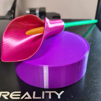 Đế đệm cho Caddy Hex Appeal 579 của Clockspring