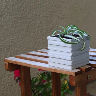 Chậu Cây Offset - Offset Planter