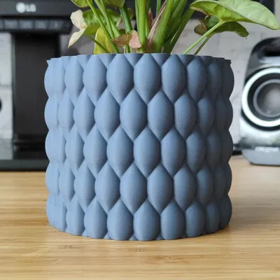 Chậu Bourbonic Tears - Thiết kế Vase Mode