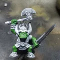 Thêm một Orc Warboss (WHQ) Proxy - Thumbnail 1