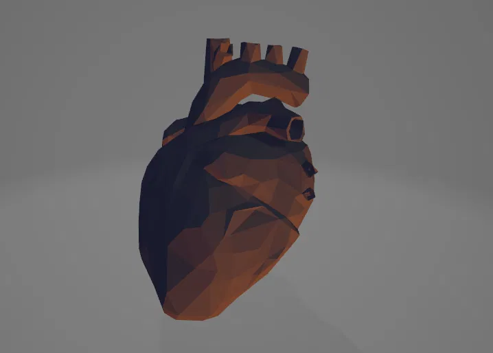 Trái tim giải phẫu low poly - Image 1
