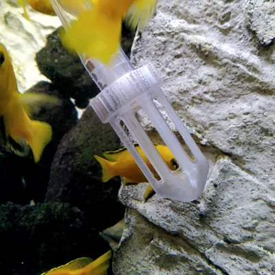 Bộ thay nước bể cá [Phiên bản làm lại]