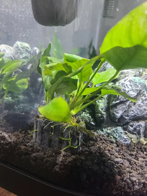 Chậu Cây Mini Kiêm Hồ Cá Nhỏ - Image 1