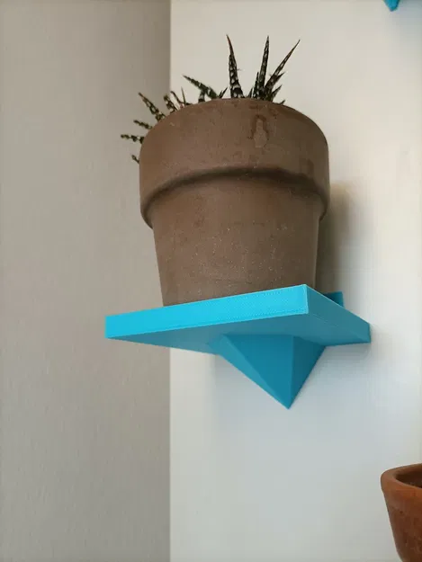 Kệ nhỏ cho cây Haworthia Phiên bản 2 - Image 1