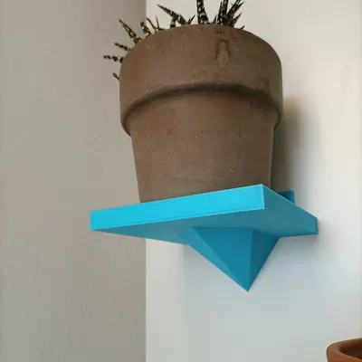 Kệ nhỏ cho cây Haworthia Phiên bản 2