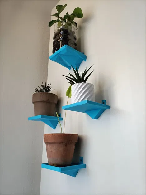 Kệ nhỏ cho cây Haworthia Phiên bản 2 - Image 2