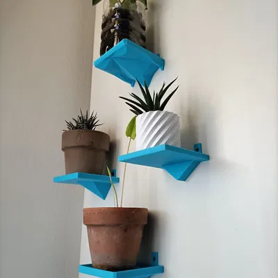 Kệ nhỏ cho cây Haworthia Phiên bản 2