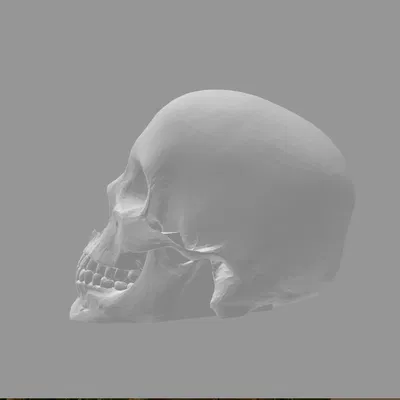 Núm Chuyển Số "Skull Totenkopf"