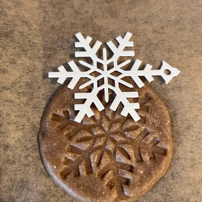 Mô hình bông tuyết