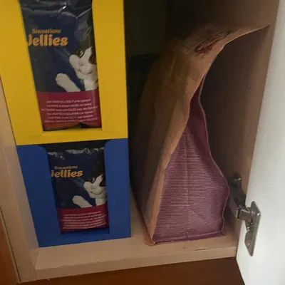 Hộp đựng thức ăn dạng túi