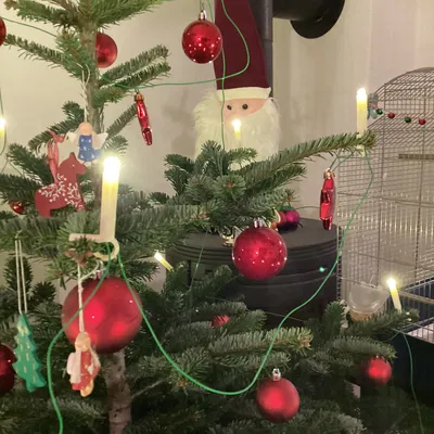 Nến LED Chùm Thông Giáng Sinh / Christmas tree LED candles