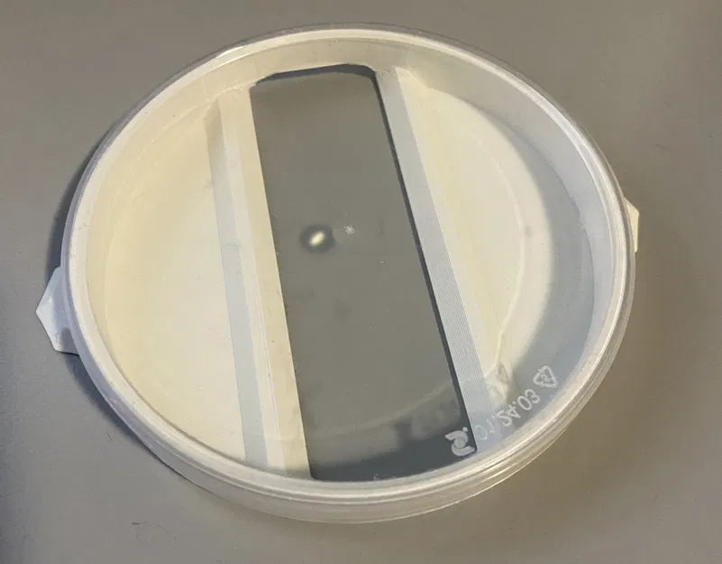 Hệ Thống Phân Phối Thuốc Độc Cho Kiến Với Nắp Pringles - Image 4