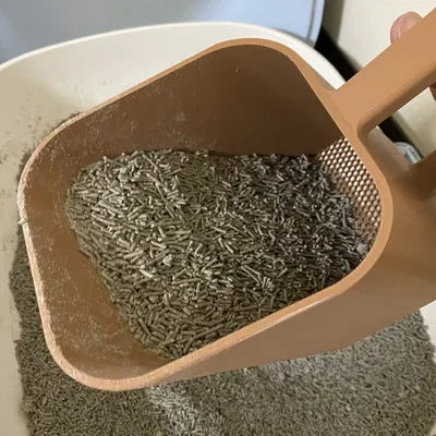 Bộ Lọc Cát Vệ Sinh Cho Mèo