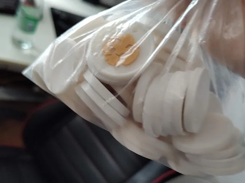 Móc khóa DPSG - Image 2