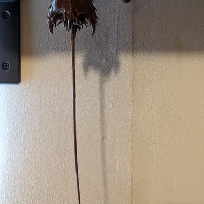 Mô Hình 3D Barnacle Half-life Alyx In Được