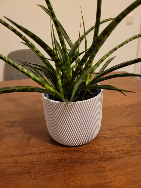 Chậu Trồng Cây 12cm - Image 3