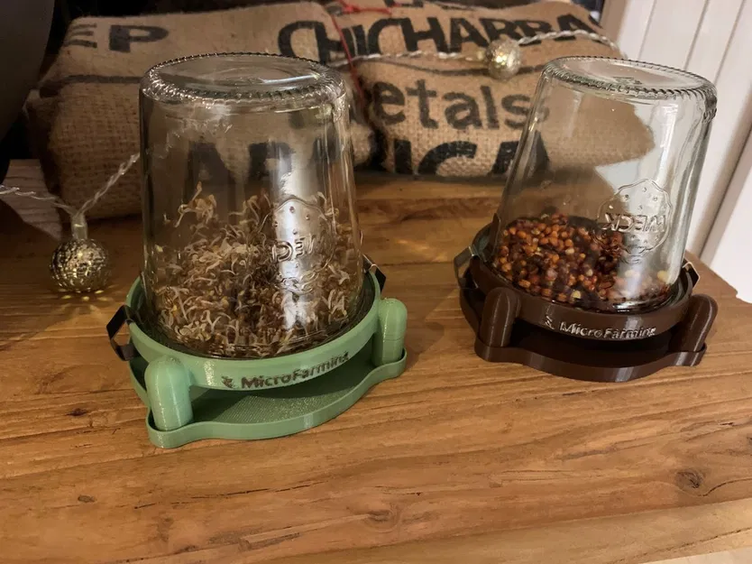 Giá ươm mầm Hũ Weck - Phiên bản Trồng rau mầm Thủy tinh - Image 1