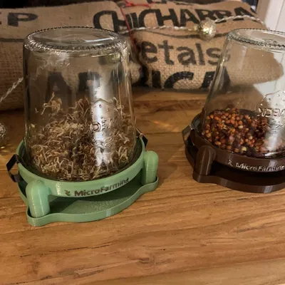 Giá ươm mầm Hũ Weck - Phiên bản Trồng rau mầm Thủy tinh