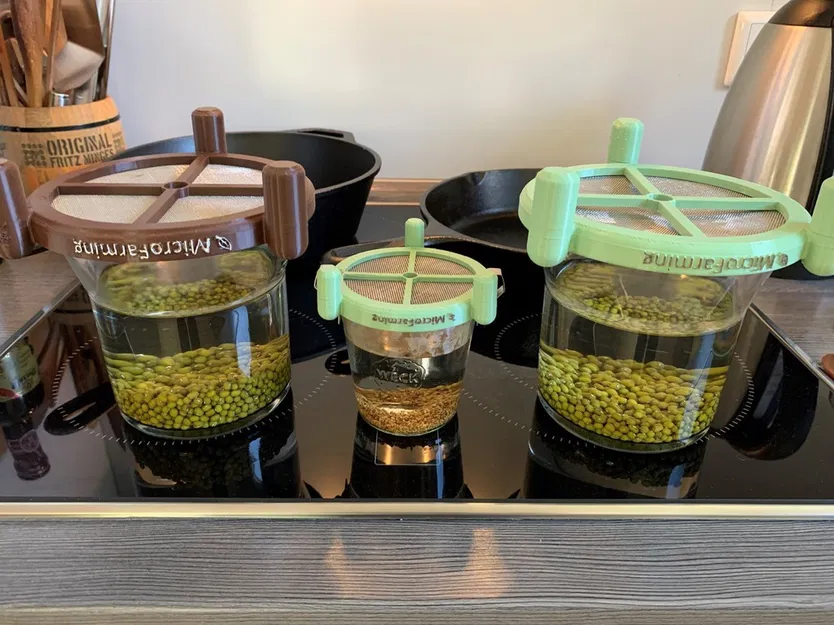 Giá ươm mầm Hũ Weck - Phiên bản Trồng rau mầm Thủy tinh - Image 4