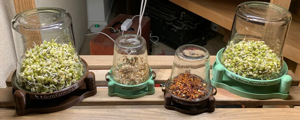 Dụng cụ ươm mầm hạt bằng lọ IKEA - Phiên bản Giá đỡ - Image 6